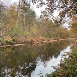 Frimley Lodge Park - Camberley