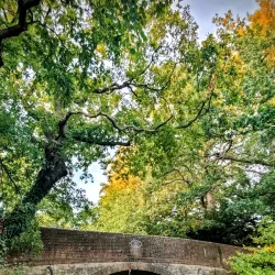 Frimley Lodge Park - Camberley