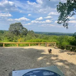 Lightwater Country Park - Camberley