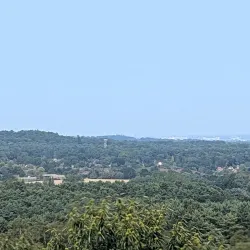 Lightwater Country Park - Camberley