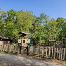 Lightwater Country Park - Camberley