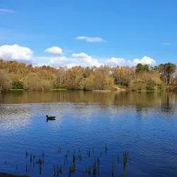 Lightwater Country Park - Camberley
