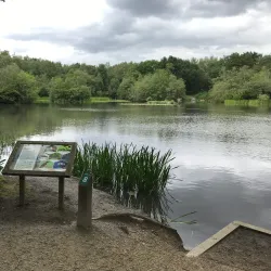 Lightwater Country Park - Camberley