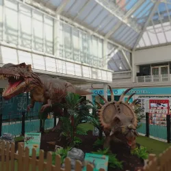 The Mall Camberley - Camberley