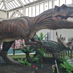 The Mall Camberley - Camberley