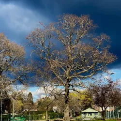 Watchetts Recreation Ground - Camberley