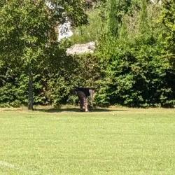 Watchetts Recreation Ground - Camberley