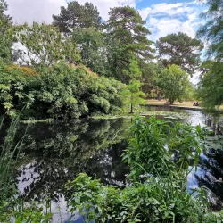 Cambridge University Botanic Garden - Cambridge