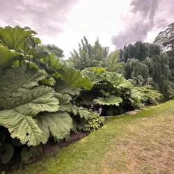 Cambridge University Botanic Garden - Cambridge