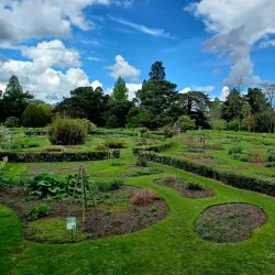 Cambridge University Botanic Garden - Cambridge