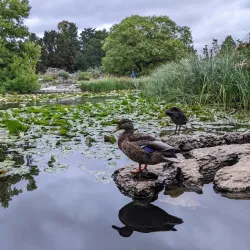 Cambridge University Botanic Garden - Cambridge