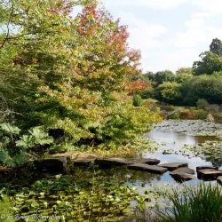 Cambridge University Botanic Garden - Cambridge