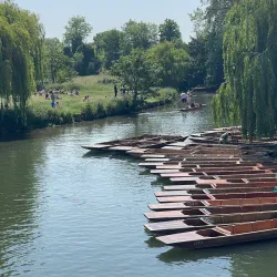 Mathematical Bridge - Cambridge