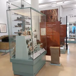 Museum of Archaeology and Anthropology - Cambridge