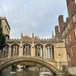 Punting on the River Cam - Cambridge