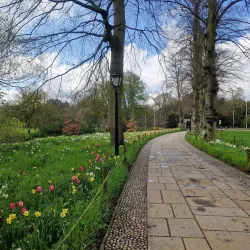 The Backs - Cambridge