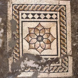 Canterbury Roman Museum - Canterbury