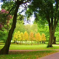 Bute Park - Cardiff