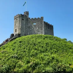 Cardiff Castle - Cardiff