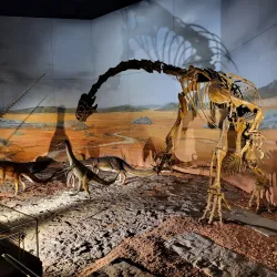 National Museum Cardiff - Cardiff