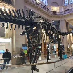 National Museum Cardiff - Cardiff