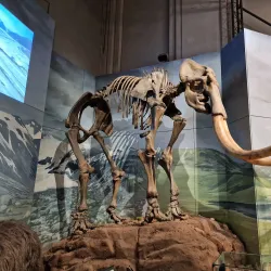 National Museum Cardiff - Cardiff