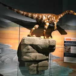 National Museum Cardiff - Cardiff