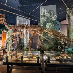 National Museum Cardiff - Cardiff