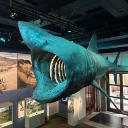 National Museum Cardiff - Cardiff