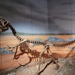 National Museum Cardiff - Cardiff