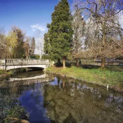 Roath Park - Cardiff