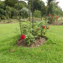 Roath Park - Cardiff