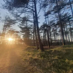 Pembrey Country Park - Carmarthen