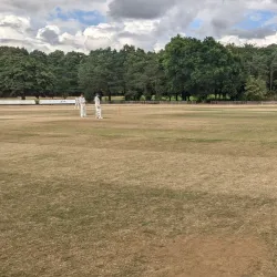 Chalfont St Peter Cricket Club - Chalfont St Peter