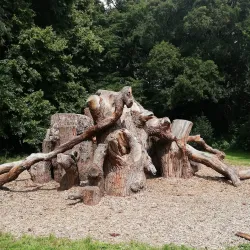 Chalfont St Peter Nature Reserve - Chalfont St Peter