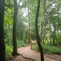 Chalfont St Peter Nature Reserve - Chalfont St Peter