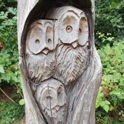 Chalfont St Peter Nature Reserve - Chalfont St Peter