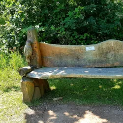 Chalfont St Peter Nature Reserve - Chalfont St Peter