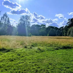 Chalfont St Peter Nature Reserve - Chalfont St Peter