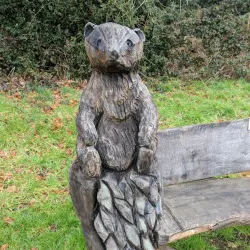 Chalfont St Peter Nature Reserve - Chalfont St Peter