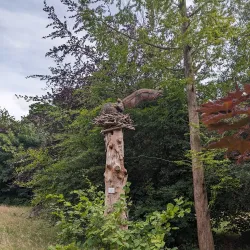 Chalfont St Peter Nature Reserve - Chalfont St Peter