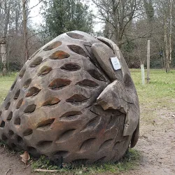 Chalfont St Peter Nature Reserve - Chalfont St Peter