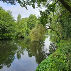 Denham Country Park (nearby) - Chalfont St Peter