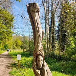 Denham Country Park (nearby) - Chalfont St Peter