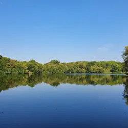 Denham Country Park (nearby) - Chalfont St Peter