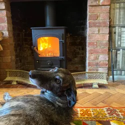 The Red Lion Pub - Chalfont St Peter