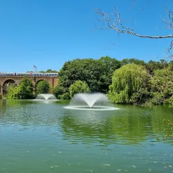 Central Park - Chelmsford