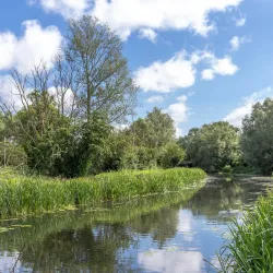 Chelmer and Blackwater Navigation - Chelmsford