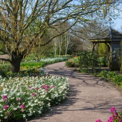 RHS Garden Hyde Hall - Chelmsford