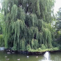 Chesham Town Centre - Chesham